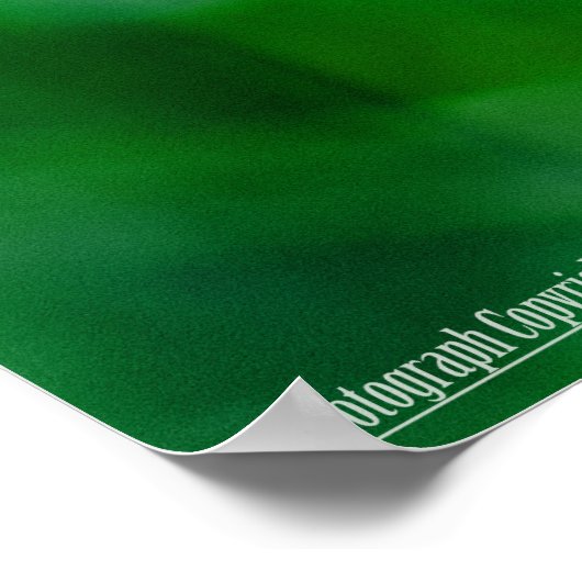 Vliegen in de tuin poster (Hoek)