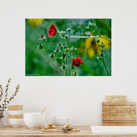 Vliegen in de tuin poster (Keuken)