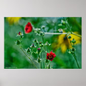 Vliegen in de tuin poster (Voorkant)