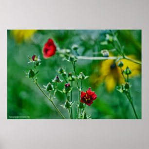 Vliegen in de tuin poster
