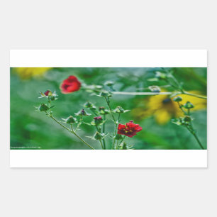 Vliegen in de tuin rechthoekige sticker