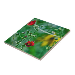 Vliegen in de tuin tegeltje