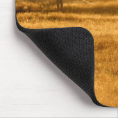 Vliegen in geelsteen muismat (Hoek)