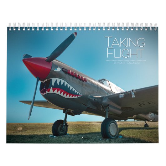 Vliegen Kalender (Hoes)