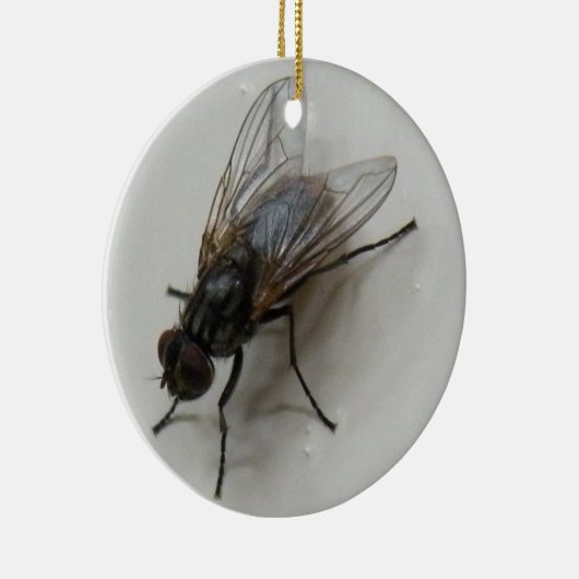 Vliegen Keramisch Ornament (Rechts)