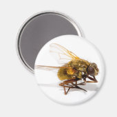 Vliegen Magneet (Voorkant / Achterkant)