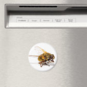 Vliegen Magneet (Insitu (Vaatwasser))