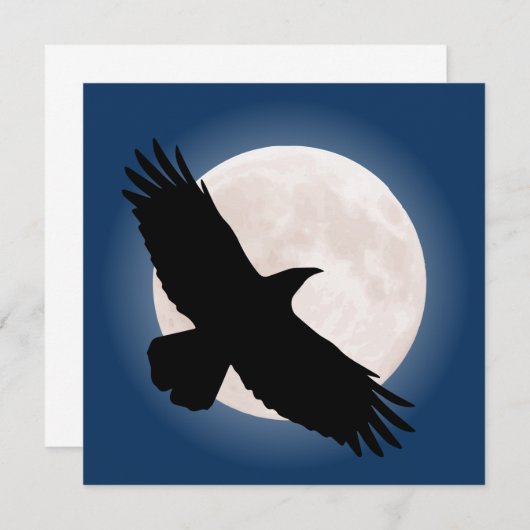 Vliegen met de maan erachter (Voorkant / Achterkant)