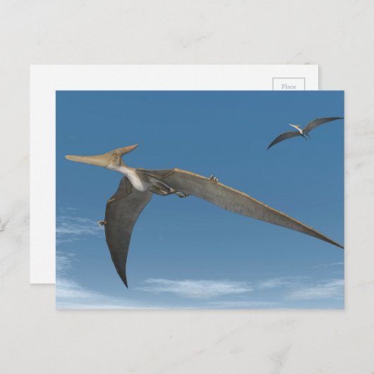 vliegen met Pteranodon dinosaurussen - 3D renderin Briefkaart (Voorkant / Achterkant)
