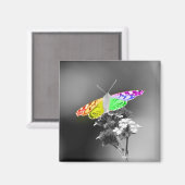 Vliegen met trots magneet (Voorkant / Achterkant)