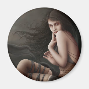 Vliegen met zonneschijn magneet