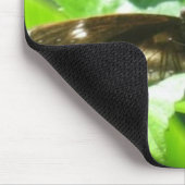 Vliegen Muismat (Hoek)