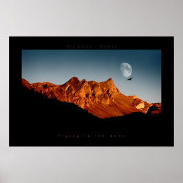 vliegen naar de maan poster