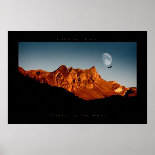 vliegen naar de maan poster (Voorkant)