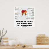 Vliegen of vliegen is een zaak van kotterpaarden. poster (Keuken)