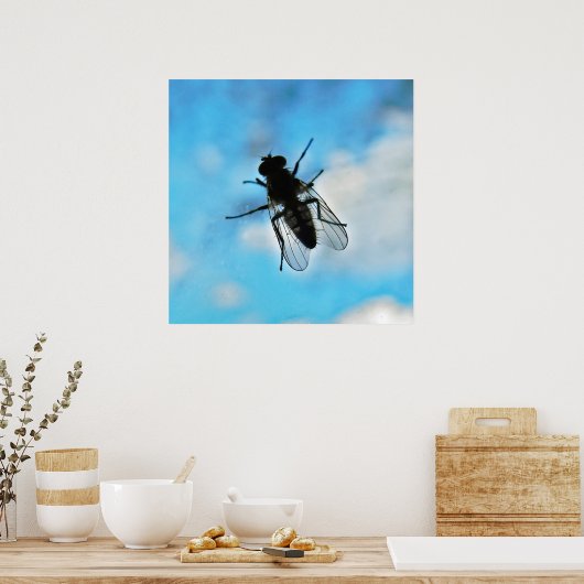 Vliegen op glas poster (Keuken)