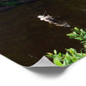 Vliegen op het Au Sable Poster (Hoek)