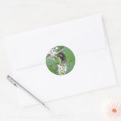 Vliegen op Mint (Tachinini juriniopsis)-serie Ronde Sticker (Envelop)