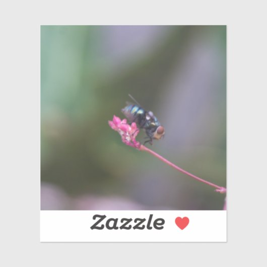 Vliegen op roze sticker (Vel)