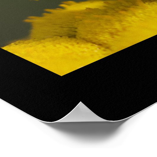 Vliegen op ventilator poster (Hoek)