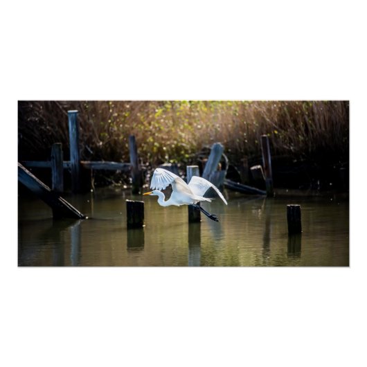 vliegen perfect poster (Voorkant)