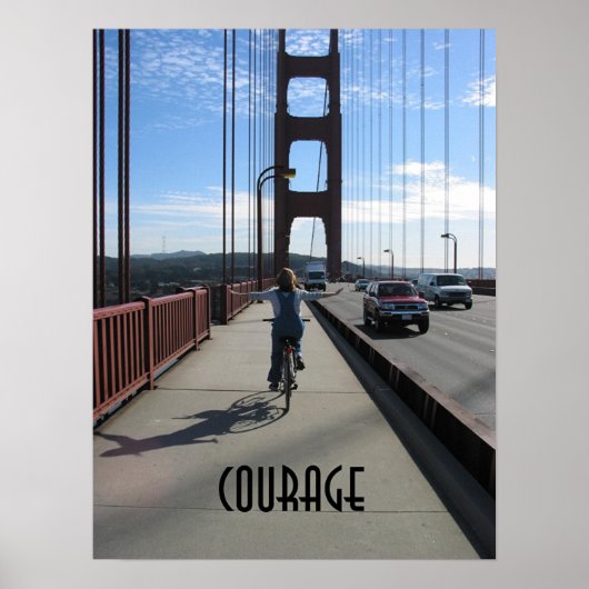 vliegen poster (Voorkant)