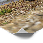 Vliegen Poster (Hoek)