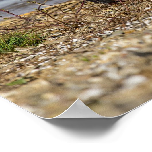 Vliegen Poster (Hoek)