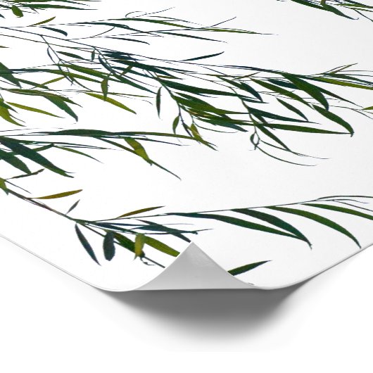 Vliegen Poster (Hoek)