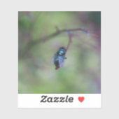 Vliegen Sticker (Vel)