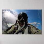 Vliegen tegen het Uitzicht van Falcon Cockpit Poster (Voorkant)