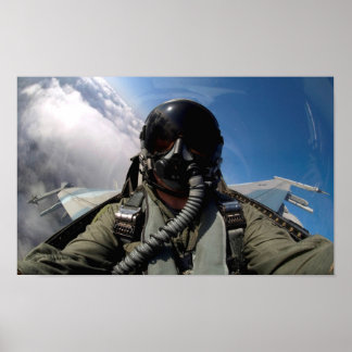 Vliegen tegen het Uitzicht van Falcon Cockpit Poster