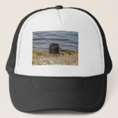 Vliegen Trucker Pet (Voorkant)