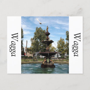 Vliegen van vogels uit de fontein briefkaart