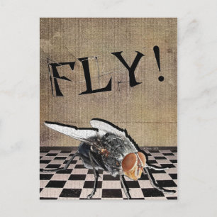 Vliegen! Vliegen! Vliegen! Briefkaart
