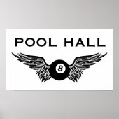 vliegenbal poster (Voorkant)