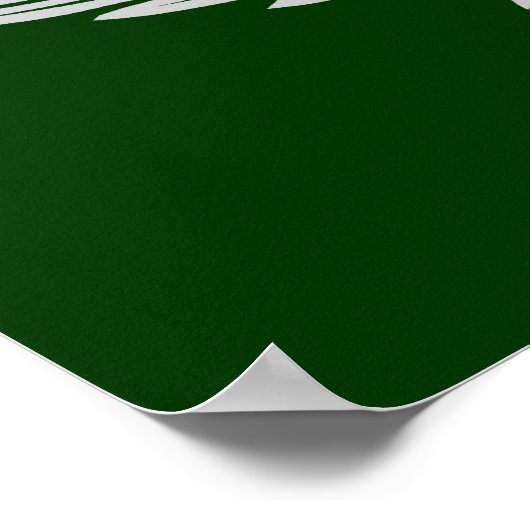 vliegenbal poster (Hoek)