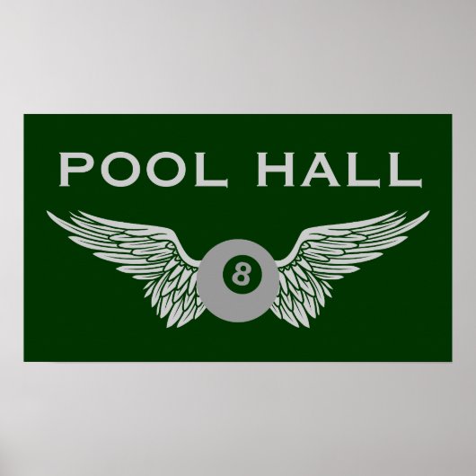 vliegenbal poster (Voorkant)