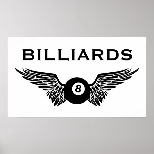 vliegenbal poster (Voorkant)