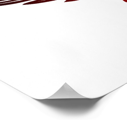 vliegenbal poster (Hoek)