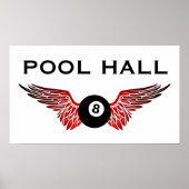 vliegenbal poster (Voorkant)