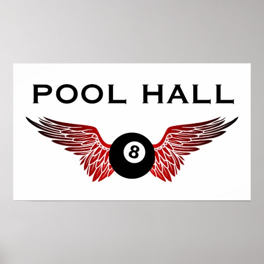 vliegenbal poster (Voorkant)