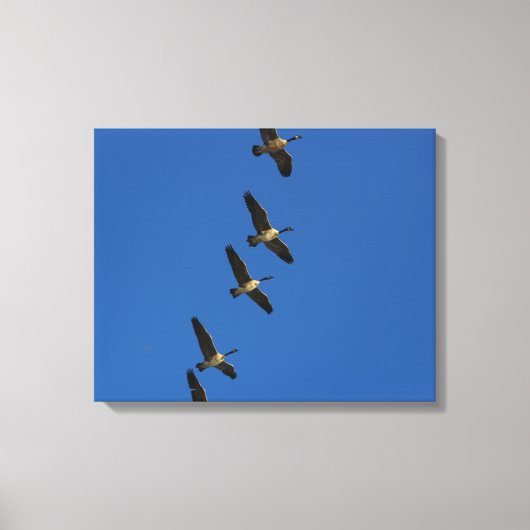 Vliegend Canvas Afdruk (Voorkant)