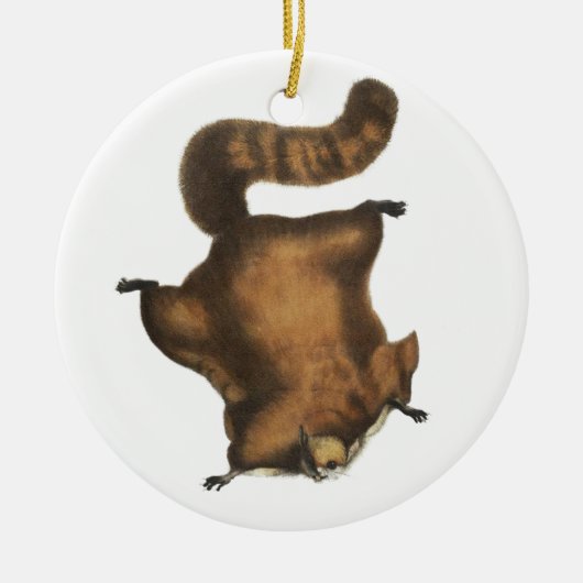  vliegend eekhoorn keramisch ornament (Voorkant)