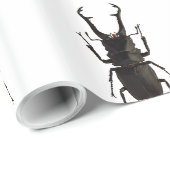 Vliegend hert cadeaupapier (Rol Hoek)