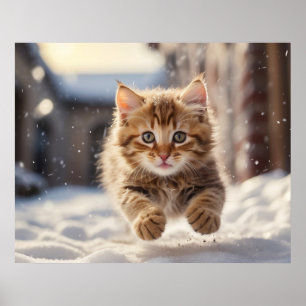 *~* Vliegend Kat 5:4 Kitten Cat AP68 Poster