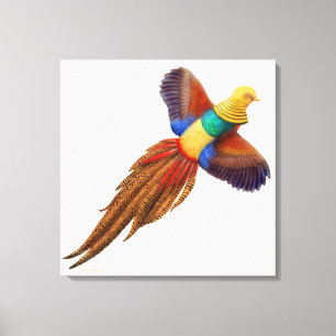 Vliegend Oosters Gouden Fazant Verpakt Canvas Afdruk