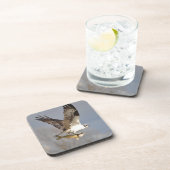 Vliegend Osprey met Walleye Fish HDR Photo Bier Onderzetter (Rechterzijde)