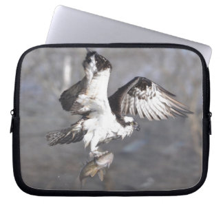 Vliegend Osprey Raptor Wildlife Sleeve