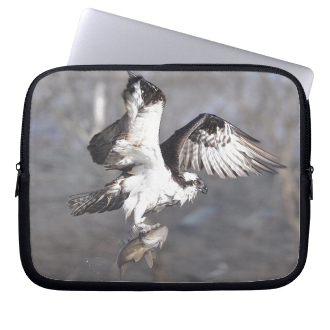 Vliegend Osprey Raptor Wildlife Sleeve (Voorkant)